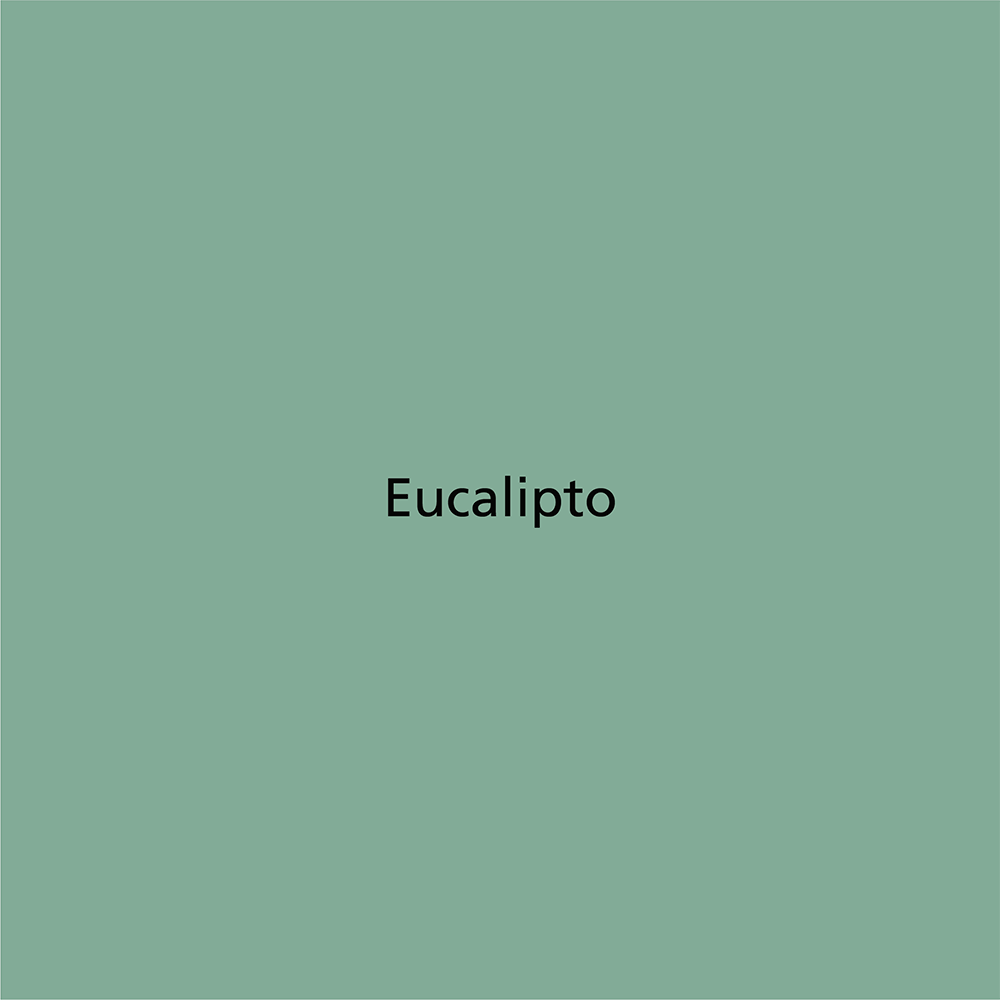 Eucalipto
